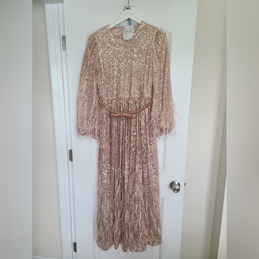 NWT Antonio Melani x Nicola Bathie Sequin Feather Gown